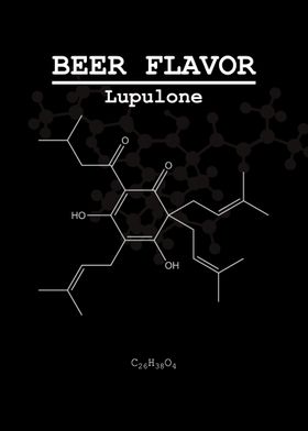 Beer Flavor Lupulone