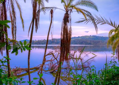 Lake at sunrise Uganda