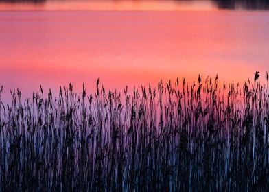 Nature Lake Sunset Landsca