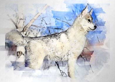 Watercolor dog