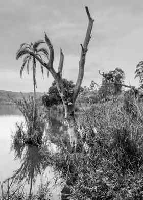 Lake at sunrise Uganda