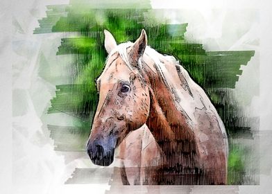 horses  watercolor