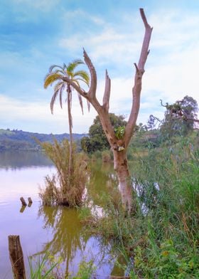 Lake at sunrise Uganda