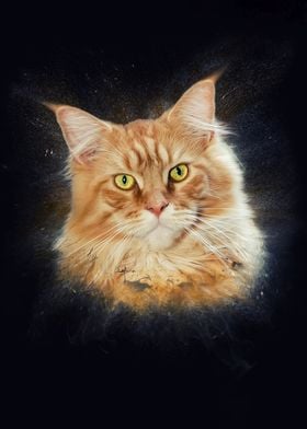 Maine Coon