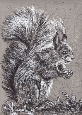 squirrel in scribble art