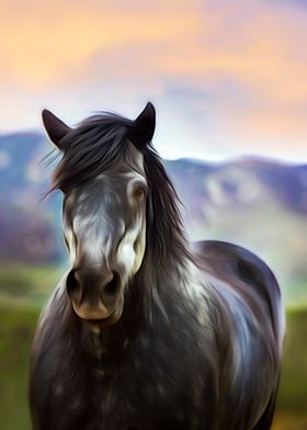 Smoky Black Horse