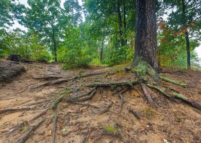 Season Landscape Nature Pa