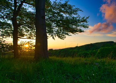 Sunset On The Hill