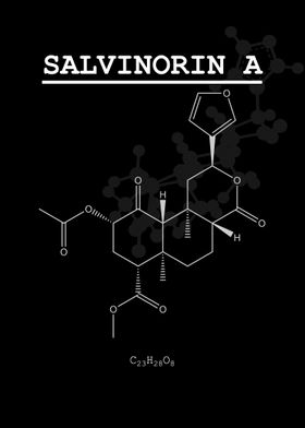 Psychedelic Salvinorin A