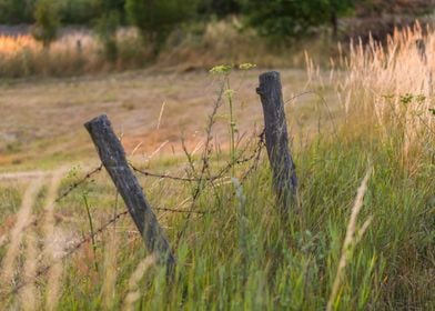 Grass Field Fence Landscap