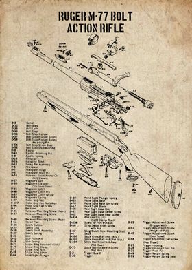 ruger m77 bolt 