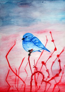 Blue Bird on red branches