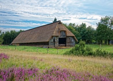 Farmhouse in the heath