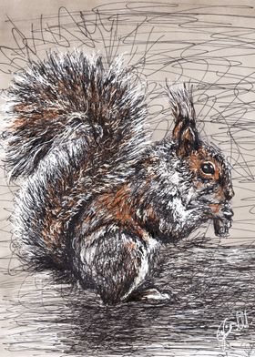 squirrel scribble art