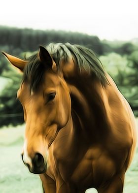 Buckskin Horse Poster By Armstrong Chiu Displate