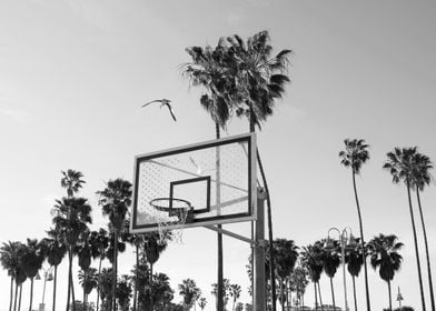 Venice Beach playground