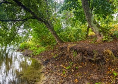 Water River Lake Landscape