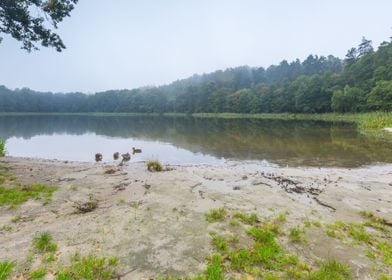 Water River Lake Landscape