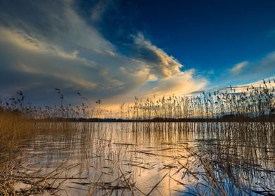 Nature Lake Sunset Landsca