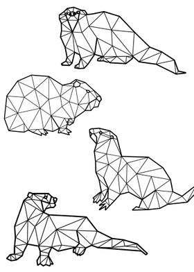 Polygon Otter