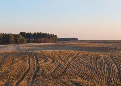 Rural Field Land Nature La