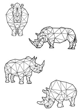 Polygon Rhino