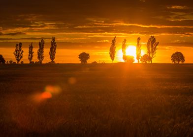 Outdoor Photography Sunlig