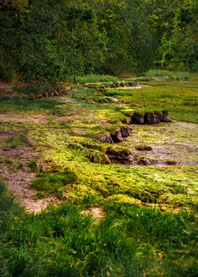 Essex riverside