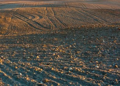 Rural Field Land Nature La