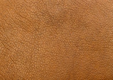 leather optic skin 