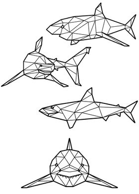 Polygon Shark