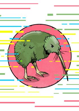 Kiwi Bird