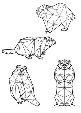 Polygon Groundhog