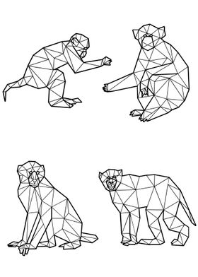 Polygon Monkey