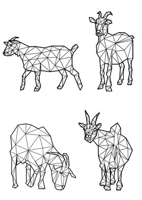 Polygon Goat