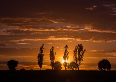 Outdoor Photography Sunlig