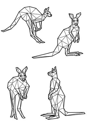 Polygon Kangaroo