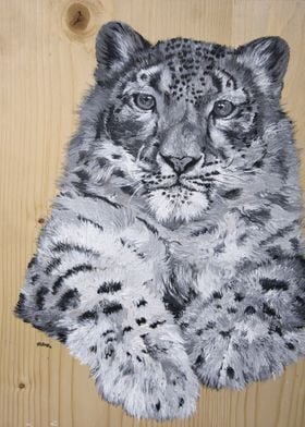 Snow Leopard