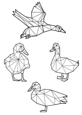 Polygon Duck