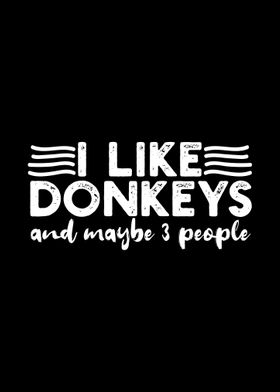 I Like Donkeys And Maybe 3