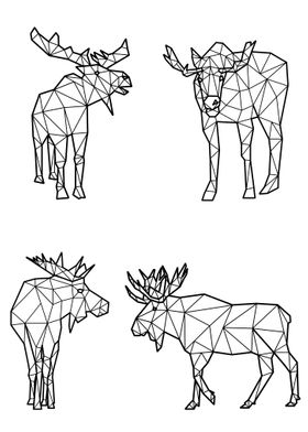 Polygon Moose