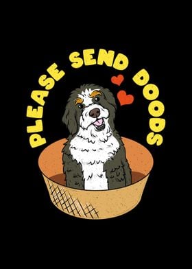 Send Bernadoodle