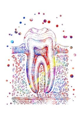 Tooth Dental print 
