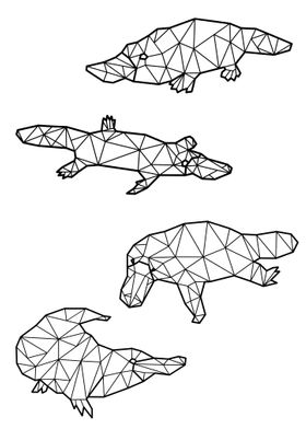 Polygon Platypus