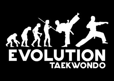 Taekwondo Evolution