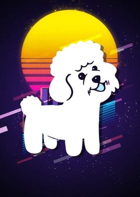 Bichon Frise