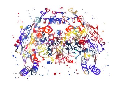 Nitric oxide synthase 