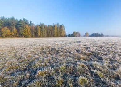 Frosty Frost Rural Season 