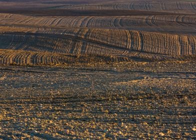 Rural Field Land Nature La