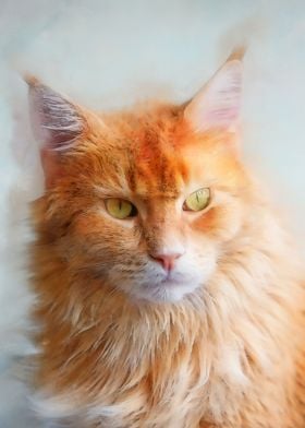 Fluffy beige cat protrait